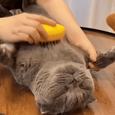 PetCare™ / Cepillo De Vapor Para Mascotas
